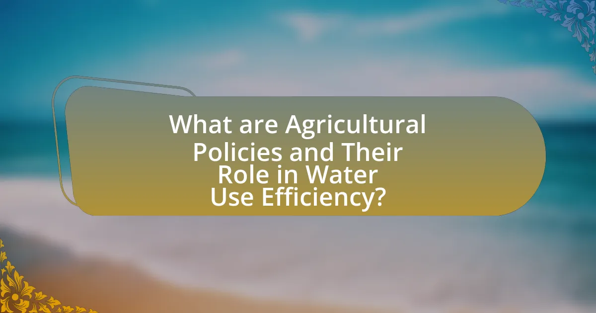 What are Agricultural Policies and Their Role in Water Use Efficiency?