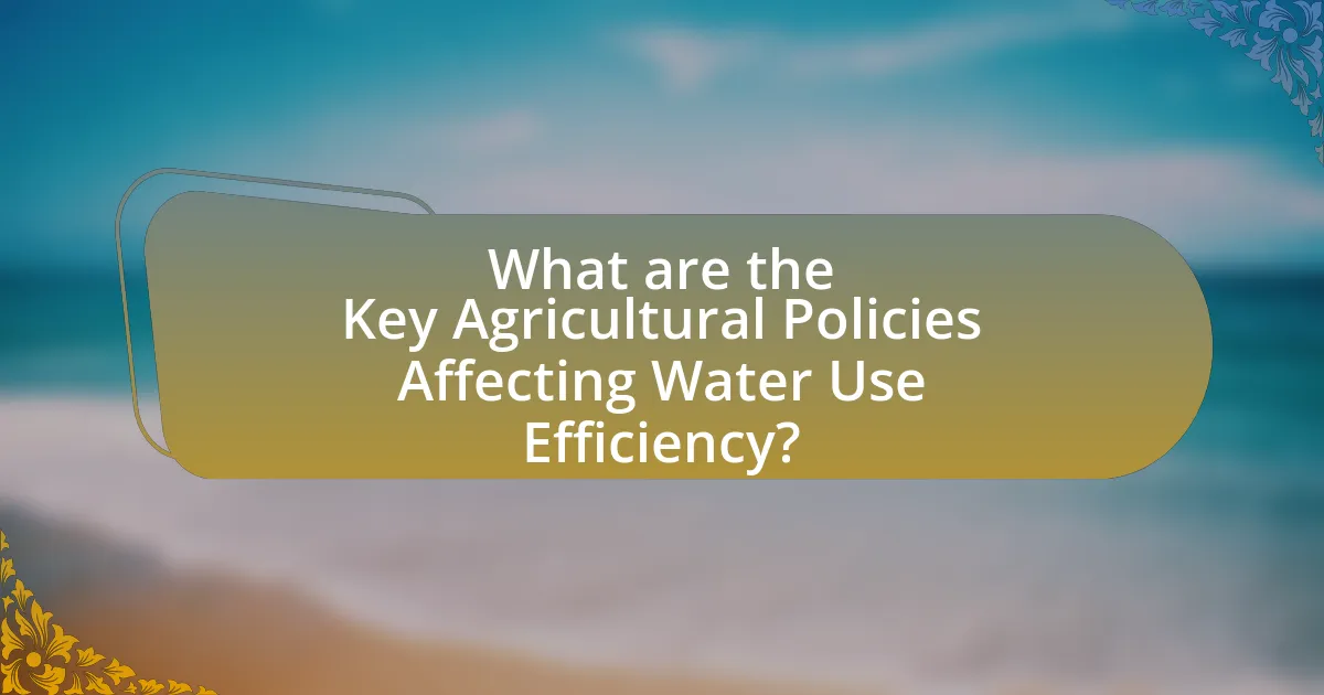 What are the Key Agricultural Policies Affecting Water Use Efficiency?