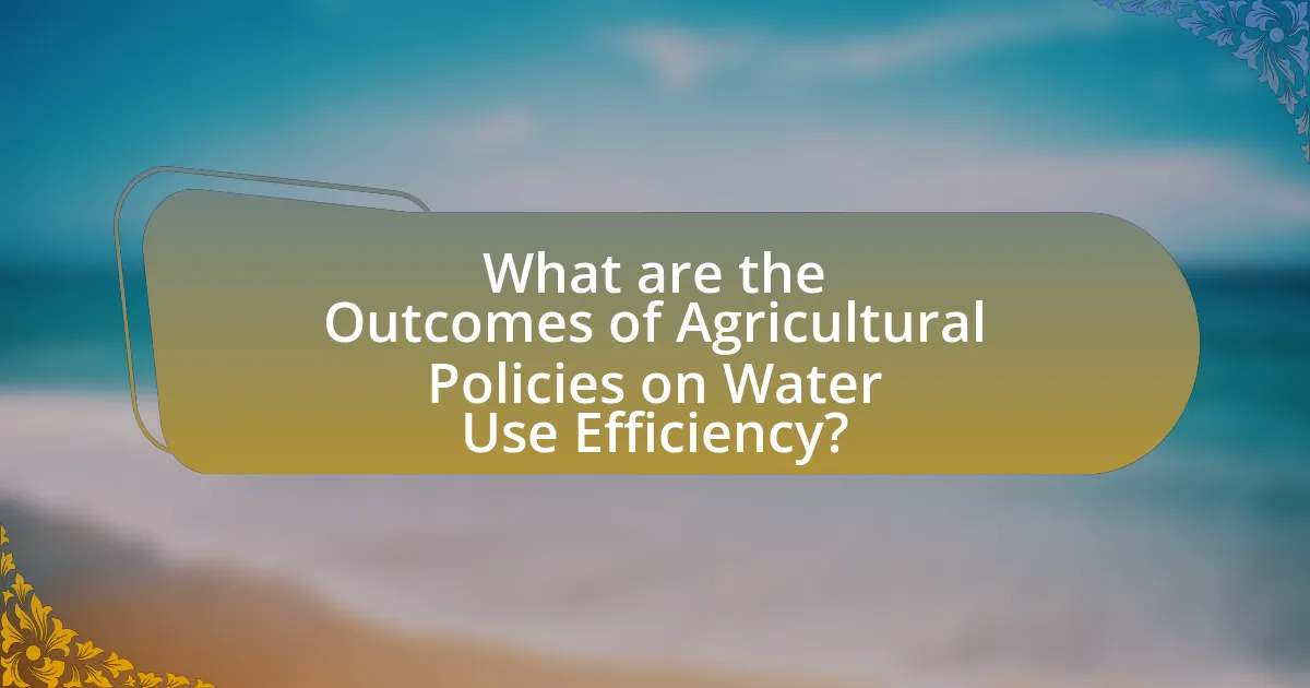What are the Outcomes of Agricultural Policies on Water Use Efficiency?